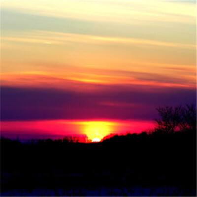 pc蛋蛋官方网站